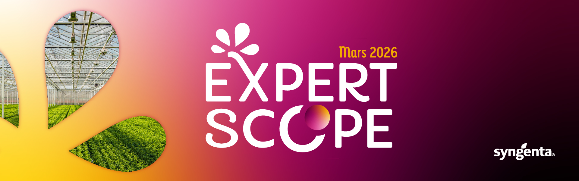 Expert Scope Mars 2026