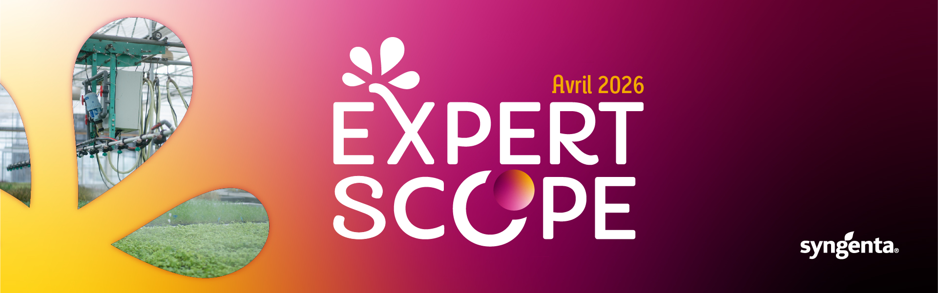 Expert Scope avril 2026