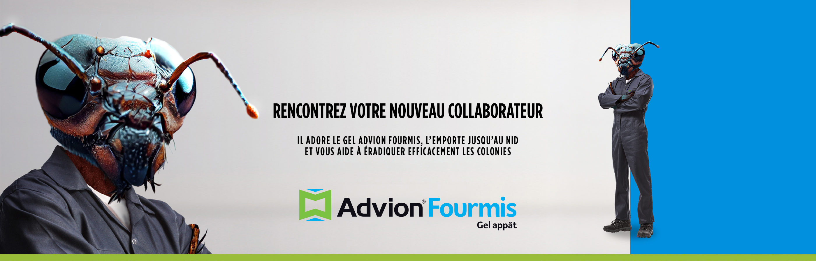 advion fourmis : rencontrez votre nouveau collaborateur; il adore le gel advion fourmis, l'emporte jusqu'à la colonie et vous aide à éradiquer efficacement les infestations