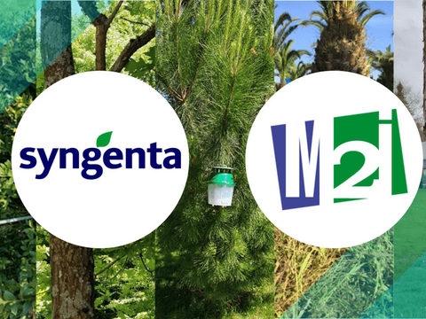 Accord signé entre Syngenta et M2i pour la protection des arbres