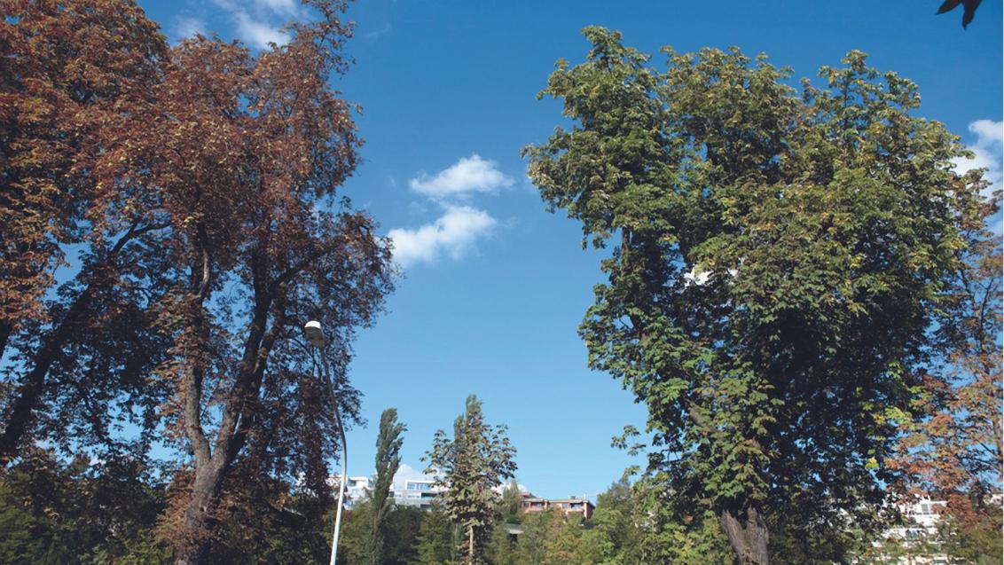 defoliation
