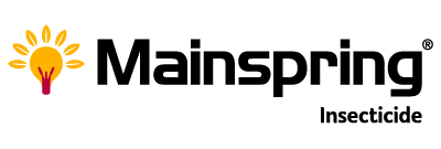 Mainspring_400x135_logo.png