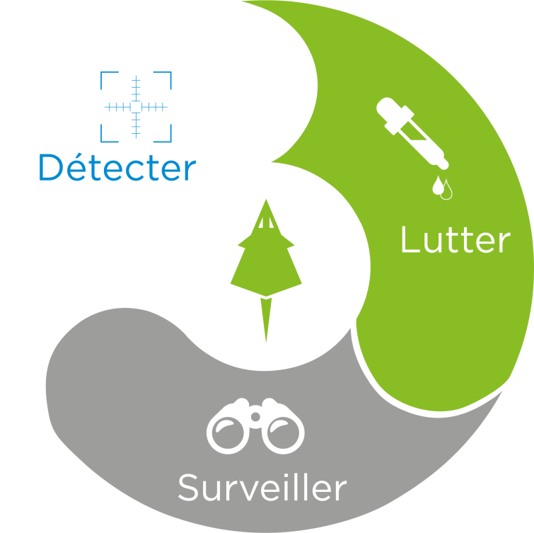 utilisation responsable des rodenticides : 1- détecter, 2- lutter, 3- surveiller