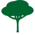 pin protection des arbres syngenta
