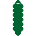 mineuse du marronnier