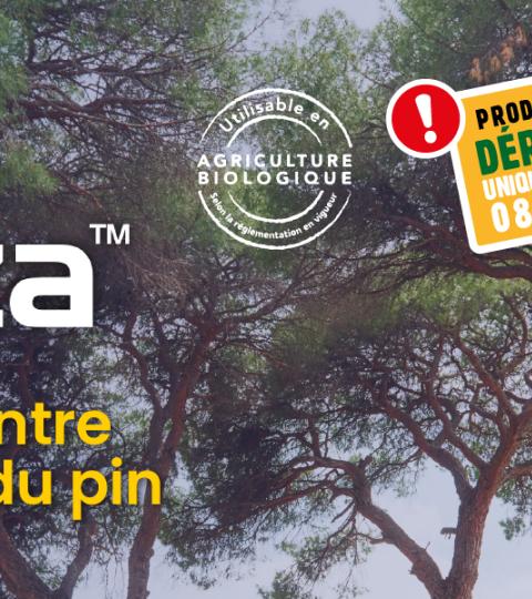 Bannière Quenza sur fond de forêt avec texte promotionnel et capture d’écran d’app.