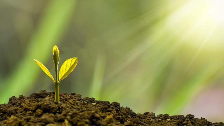 Que sont les biostimulants et les biocontrôles ?