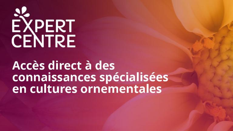 banner blog expert centre : accès direct à des connaissances spécialisées en cultures ornementales