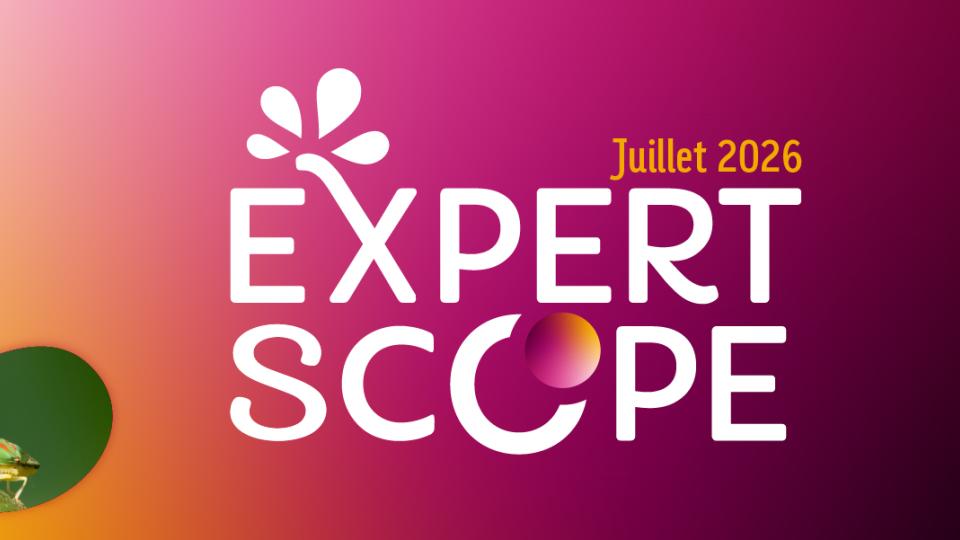 expert scope juillet 2026, cicadelle et mildiou