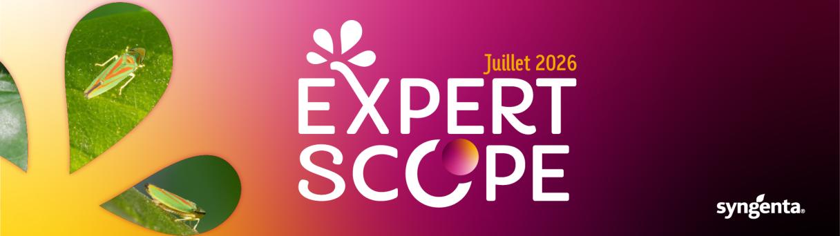 expert scope juillet 2026, cicadelle et mildiou