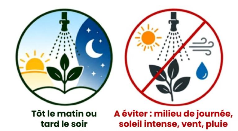 Deux pictogrammes : arrosage le matin/soir conseillé, éviter en plein soleil, vent, pluie.