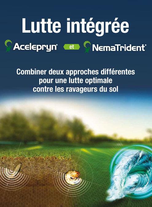 lutte intégrée acelepryn et nematrident : combiner deux approches différents pour une lutte optimale contre les ravageurs du sol