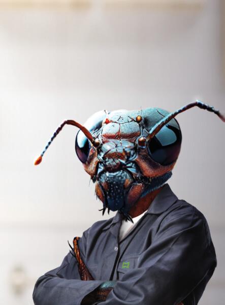 portrait employé fourmi pour le gel advion fourmis