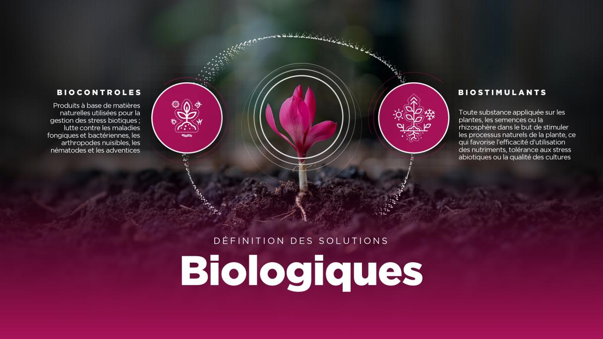 définition de solutions biologiques
