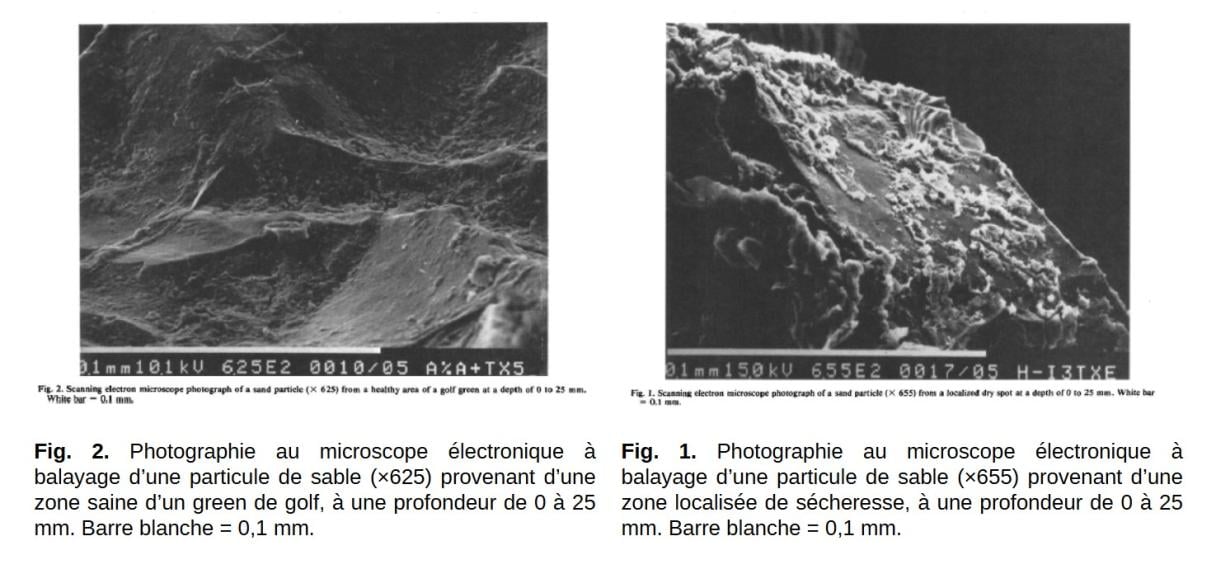 particules de sable au microscope